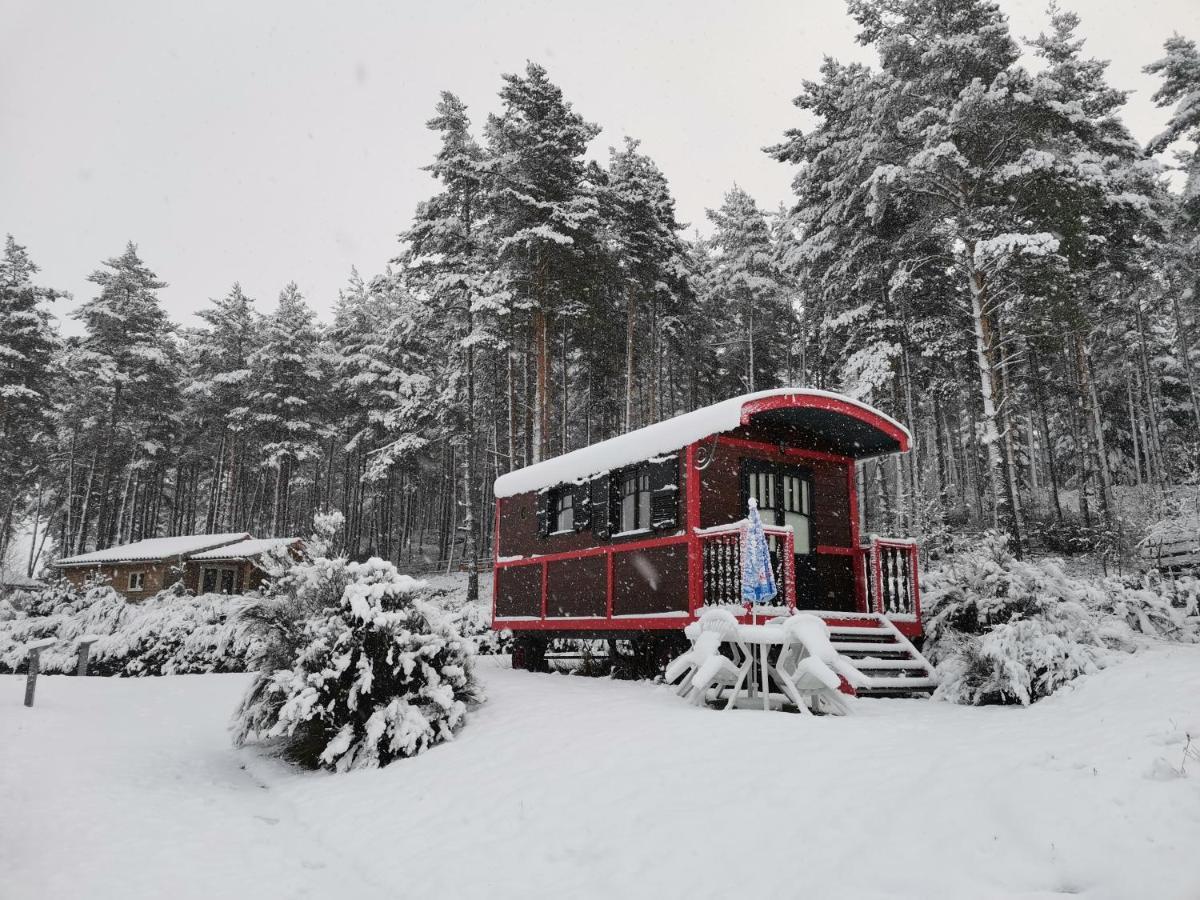 Les Chalets Du Haut-Forez Usson-en-Forez Экстерьер фото