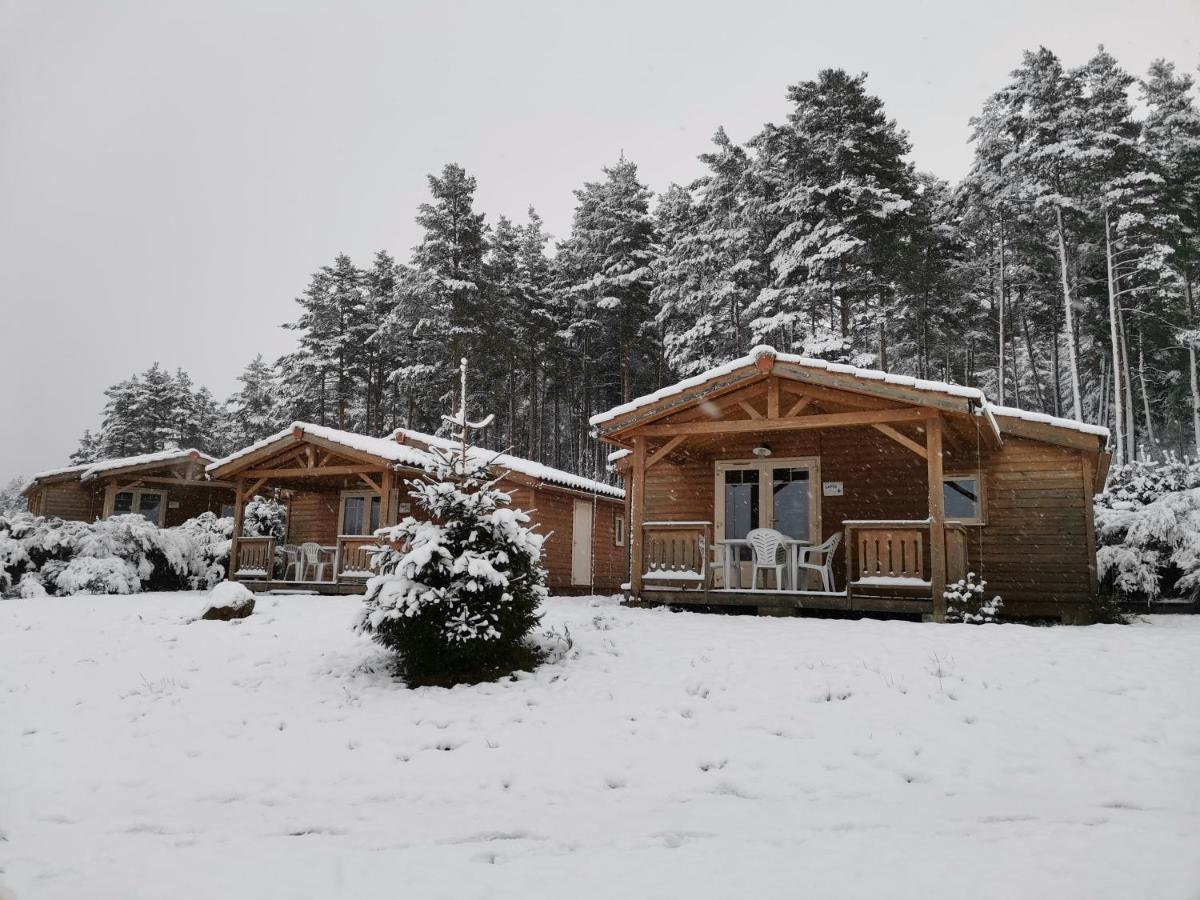 Les Chalets Du Haut-Forez Usson-en-Forez Экстерьер фото