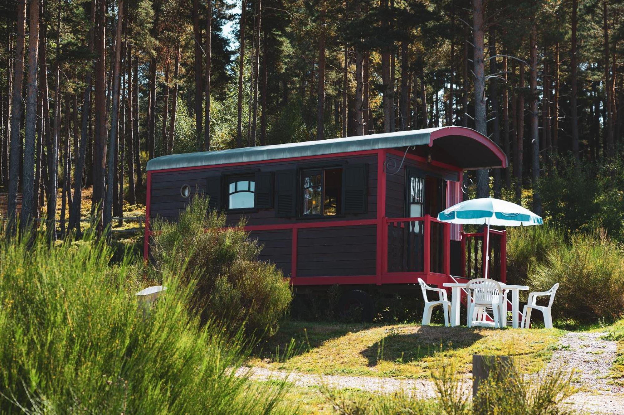 Les Chalets Du Haut-Forez Usson-en-Forez Экстерьер фото